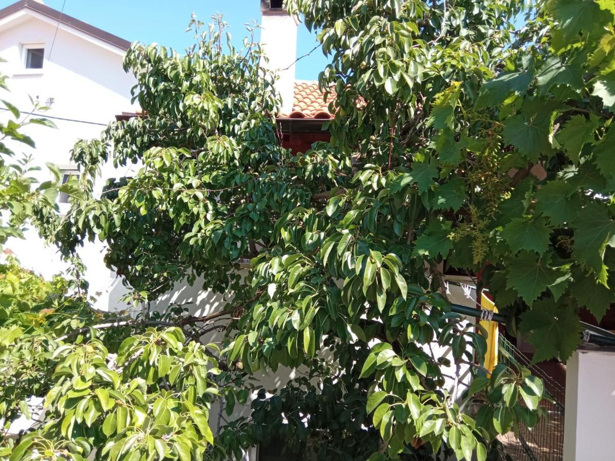 Apartments Antares Мали-Лошинь Экстерьер фото
